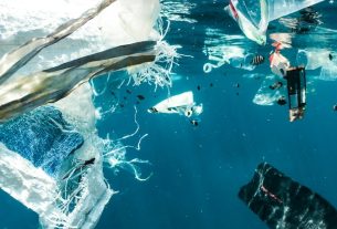 UE endurece sanciones delitos medioambientales
