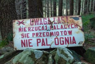 palexia engorda