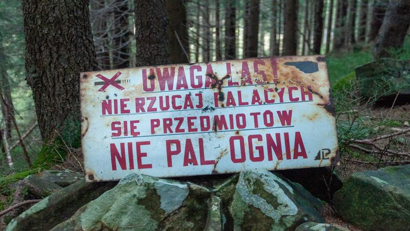 palexia engorda