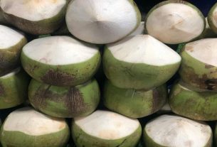 el coco engorda