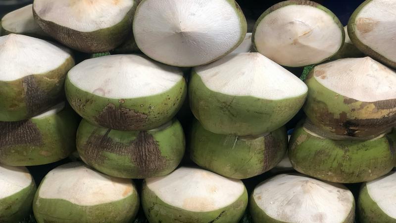 el coco engorda
