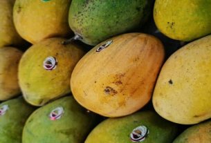 el mango engorda