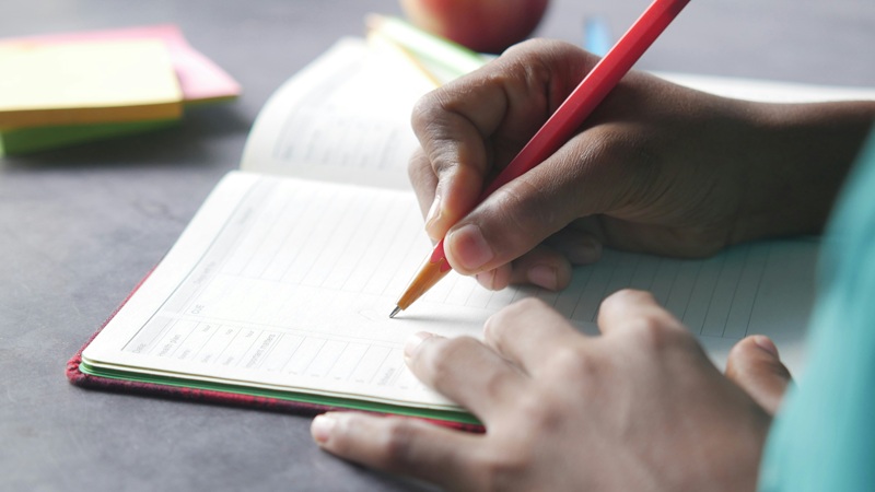 como se escribe recoger o recojer