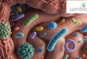 flora intestinal dañada